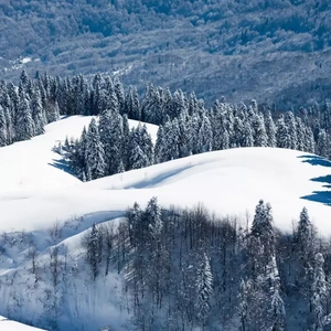 男女啪啪啪动态视频
